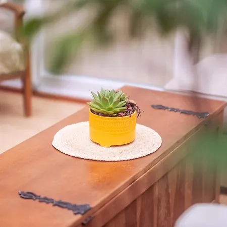 Апартаменты Papenmuehle Am Kurpark *